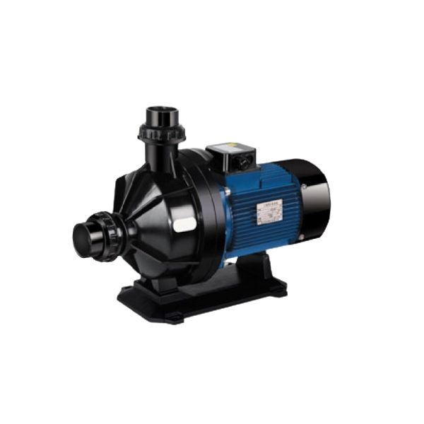 SWIM-SW Series Pool Pump (50Hz)