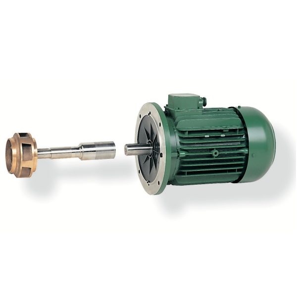 SACI CF-2 / HF-2 Series Pool Pump (60Hz)