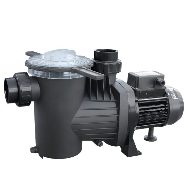 SACI Winner Series Pool Pump (60Hz)