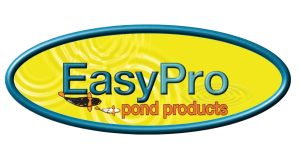 Your paragraph text (30)